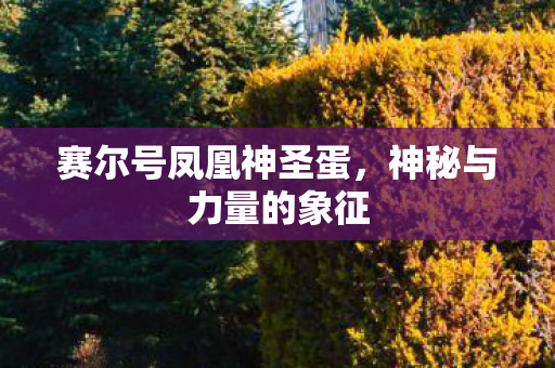 赛尔号凤凰神圣蛋图片