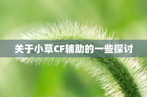 关于小草CF辅助的一些探讨图片