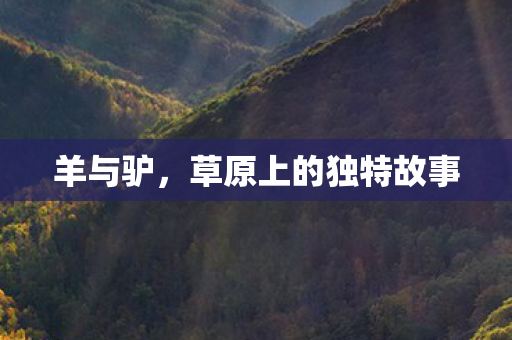 草原上的独特故事图片