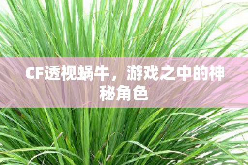 游戏之中的神秘角色图片