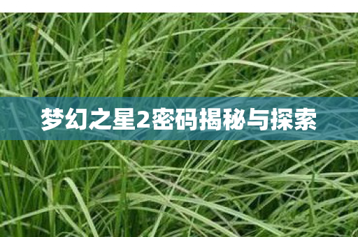 梦幻之星2密码揭秘与探索图片