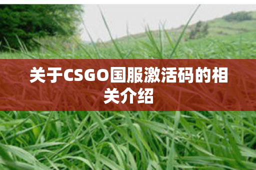关于CSGO国服激活码的相关介绍图片