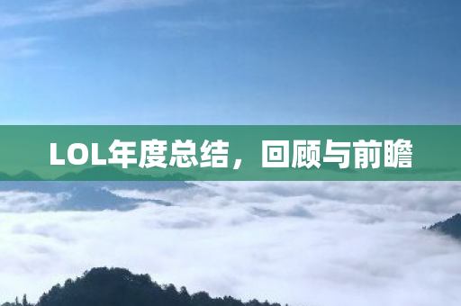 LOL年度总结图片