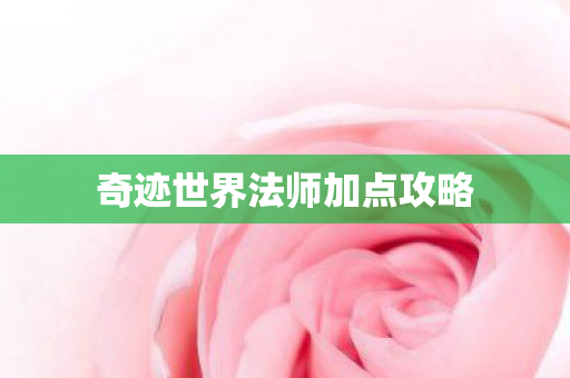 奇迹世界法师加点攻略图片