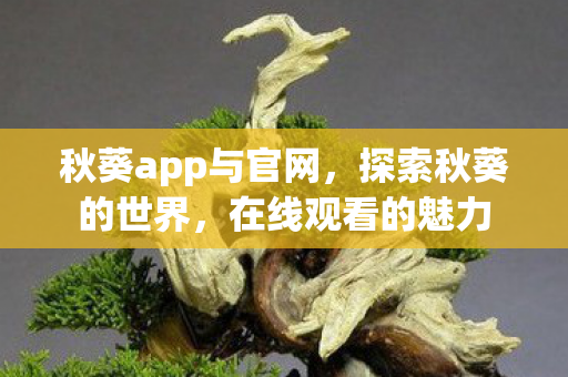 秋葵app与官网图片
