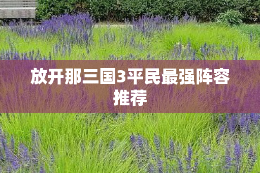 放开那三国3平民最强阵容推荐图片