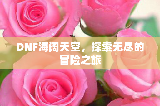 探索无尽的冒险之旅图片
