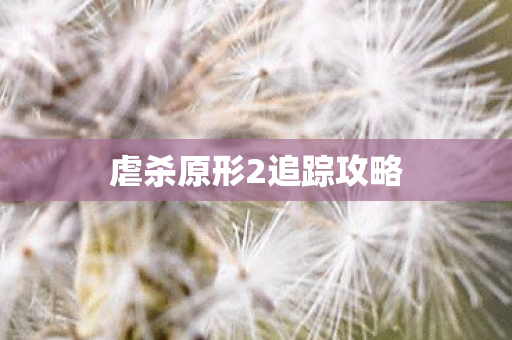 虐杀原形2追踪攻略图片
