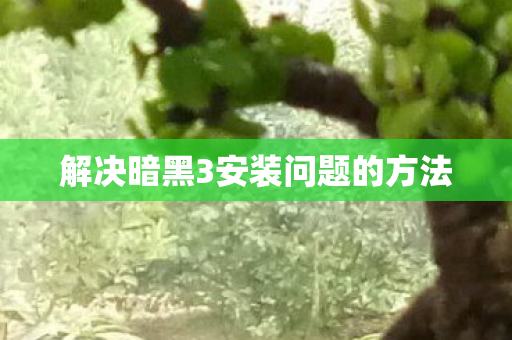 解决暗黑3安装问题的方法图片