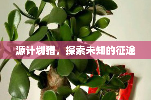 探索未知的征途图片