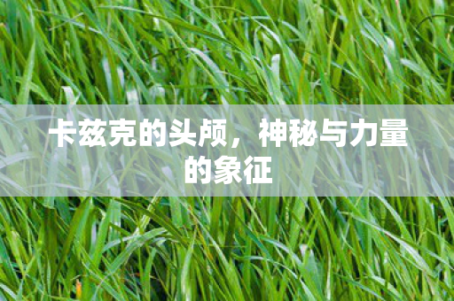 神秘与力量的象征图片