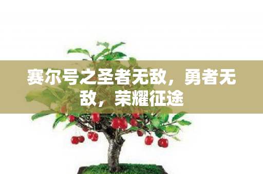 赛尔号之圣者无敌图片