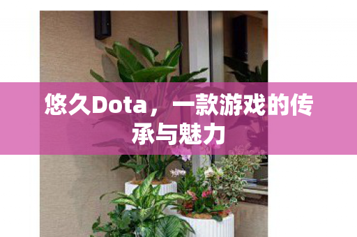 一款游戏的传承与魅力图片