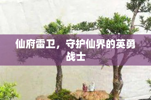 守护仙界的英勇战士图片