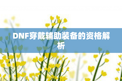 DNF穿戴辅助装备的资格解析图片