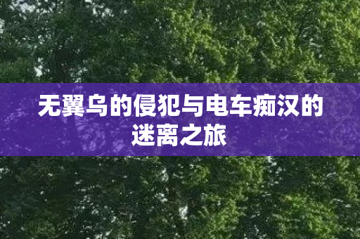 无翼乌的侵犯与电车痴汉的迷离之旅图片