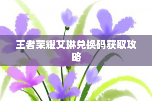 王者荣耀艾琳兑换码获取攻略图片