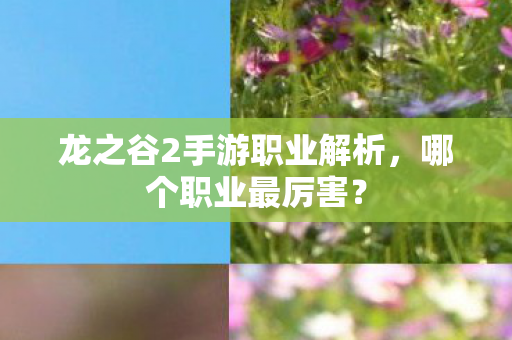 龙之谷2手游职业解析图片