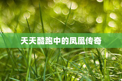 天天酷跑中的凤凰传奇图片