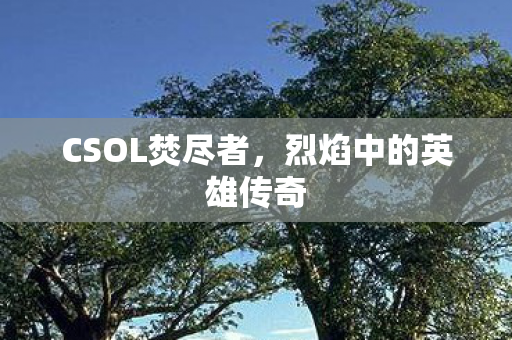 烈焰中的英雄传奇图片