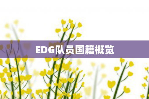 EDG队员国籍概览图片