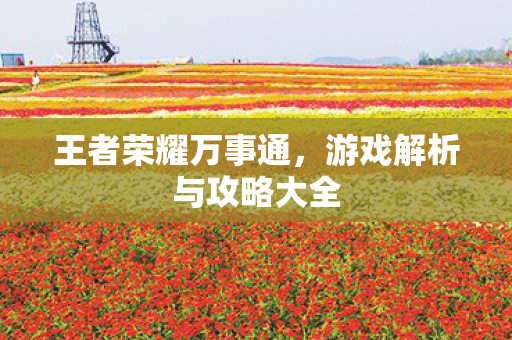 游戏解析与攻略大全图片
