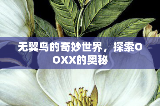 探索OOXX的奥秘图片