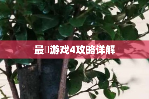 最囧游戏4攻略详解图片