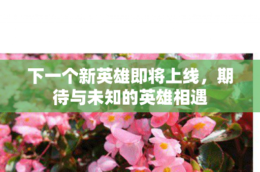 下一个新英雄即将上线图片
