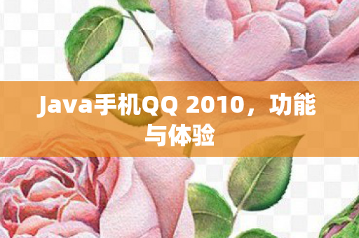 Java手机QQ 2010图片