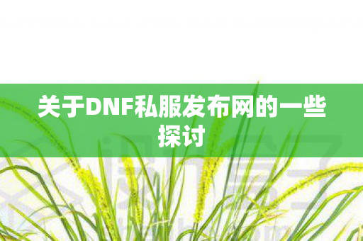 关于DNF私服发布网的一些探讨 关于DNF私服发布网的一些探讨