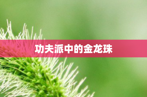 功夫派中的金龙珠图片