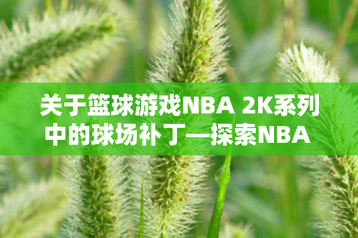 关于篮球游戏NBA 2K系列中的球场补丁图片