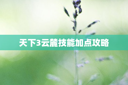天下3云麓技能加点攻略图片