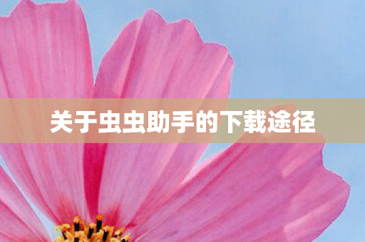 关于虫虫助手的下载途径图片