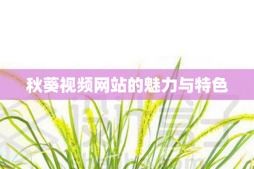 秋葵视频网站的魅力与特色图片