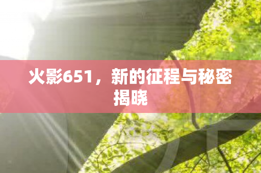 新的征程与秘密揭晓图片