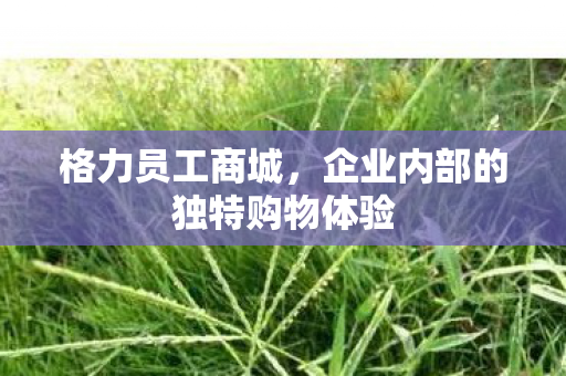 企业内部的独特购物体验图片