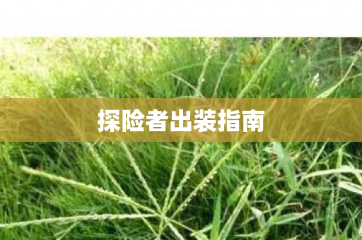 探险者出装指南图片