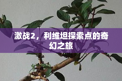利维坦探索点的奇幻之旅图片