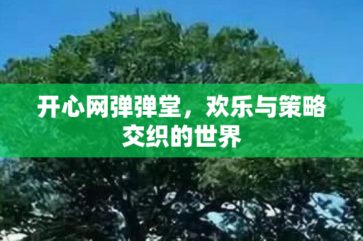 欢乐与策略交织的世界图片