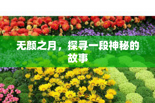 探寻一段神秘的故事图片