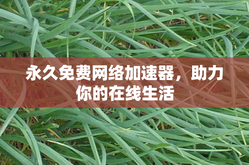 永久免费网络加速器图片