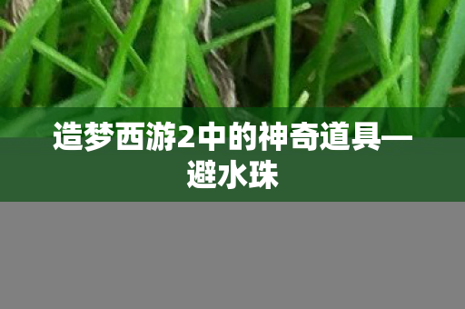 造梦西游2中的神奇道具图片