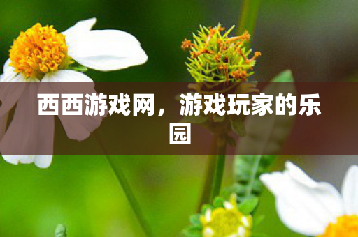 游戏玩家的乐园图片