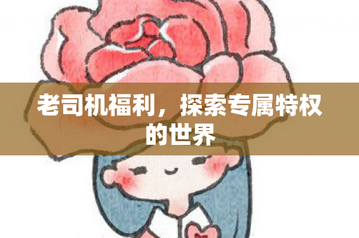探索专属特权的世界图片