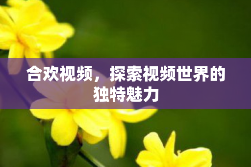 探索视频世界的独特魅力图片
