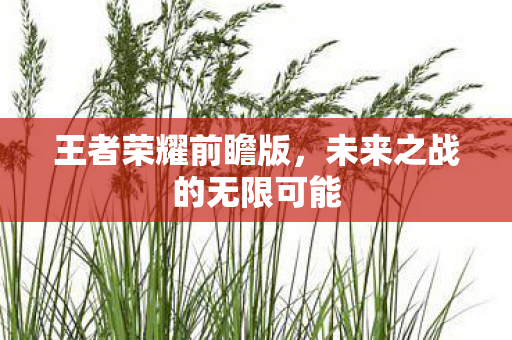 未来之战的无限可能图片