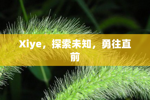 Xiye图片