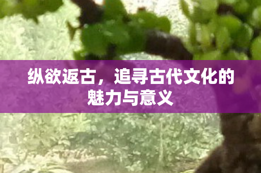 追寻古代文化的魅力与意义图片